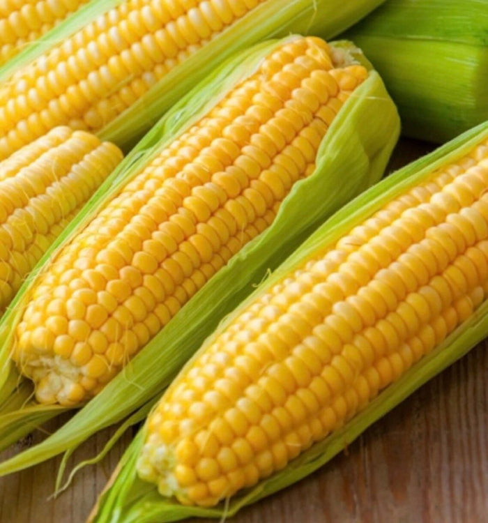 Corn