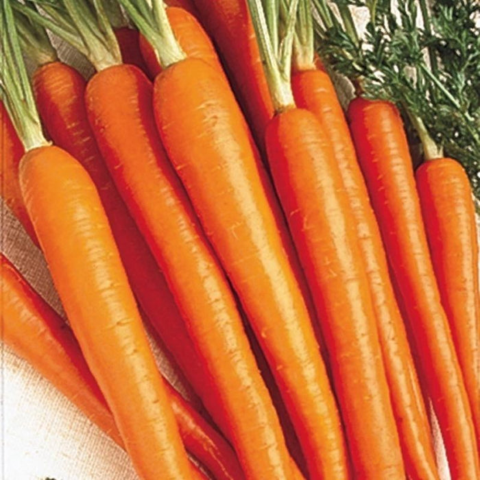 Carrots