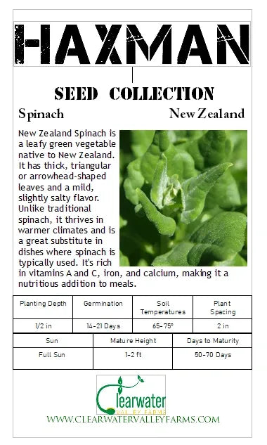 New Zealand Spinach-South of Down Under and North of Delicious!