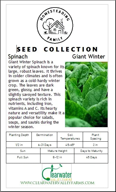 Giant Winter Spinach: A Bounty of Greenery in the Chill