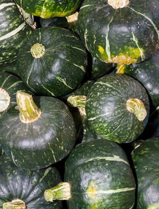 Winter Squash