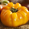 Brandywine Yellow Tomato