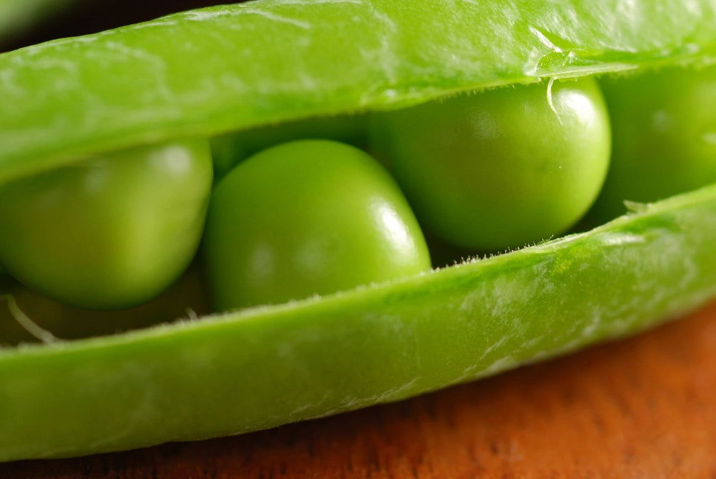 Sugar Snap Pea