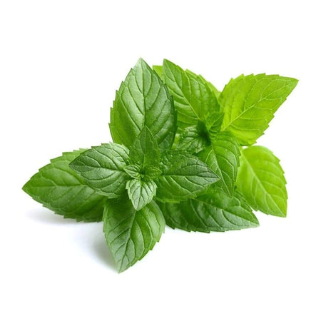 Spearmint