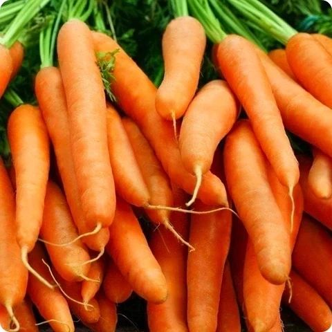 Carrots