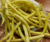 Cherokee Wax Yellow Bush Bean