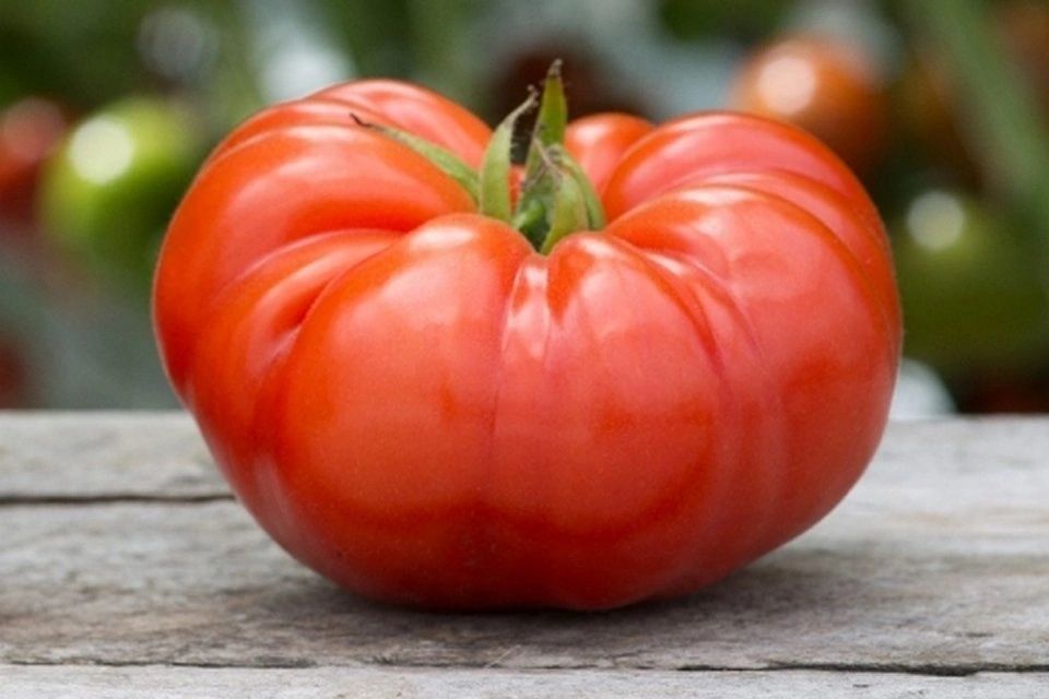 Beefsteak Tomato