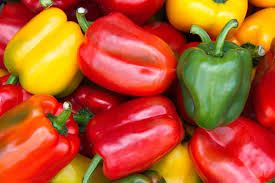 Bell Pepper Collection (5 packs)