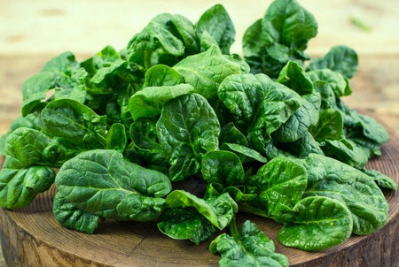 Bloomsdale Spinach