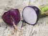 Purple Plum Radish