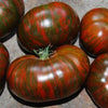 Chocolate Stripe Tomato