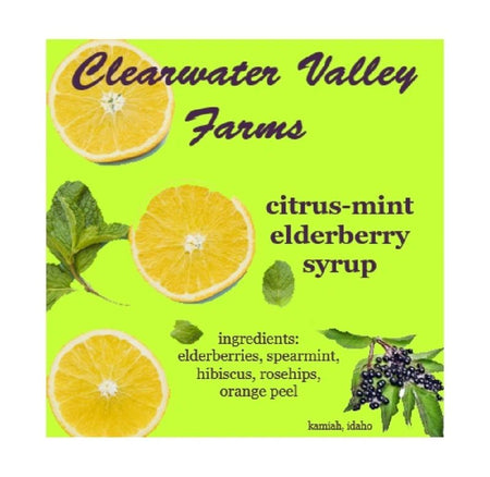 Citrus Mint Elderberry Syrup Kit 3 Pack