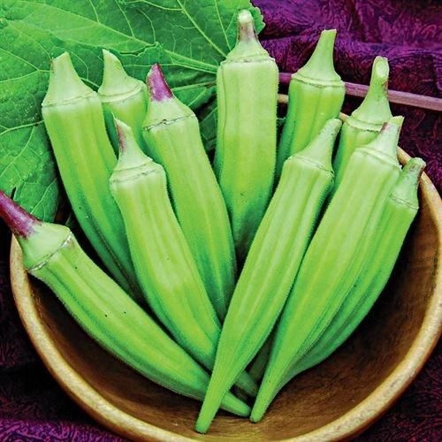 Clemson Spineless Okra