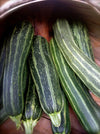 Cocozelle Zucchini