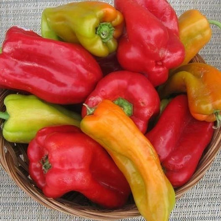 Cubanelle Sweet Pepper