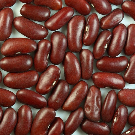 Dark Red Kidney Bean