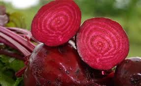 Detroit Dark Beet