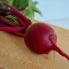 Ruby Queen Beet