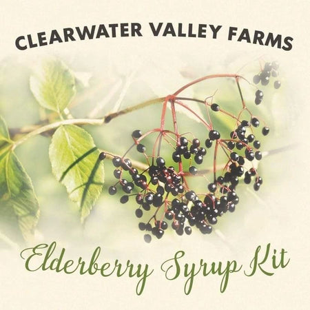 Elderberry Herbal Syrup Kit