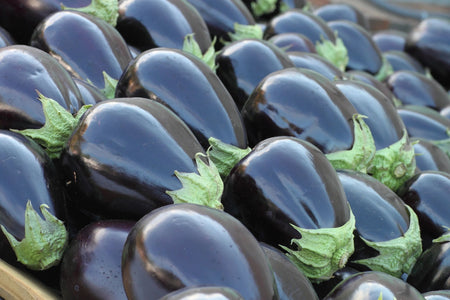 Black Beauty Eggplant