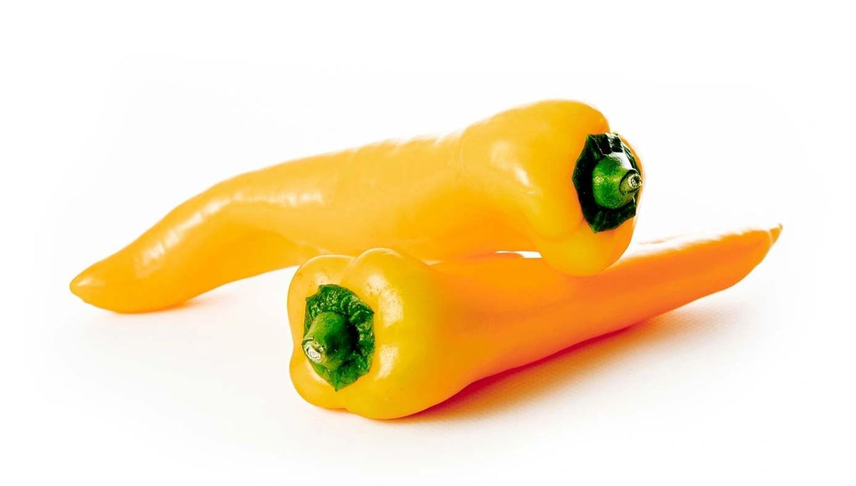 Marconi Golden Sweet Pepper