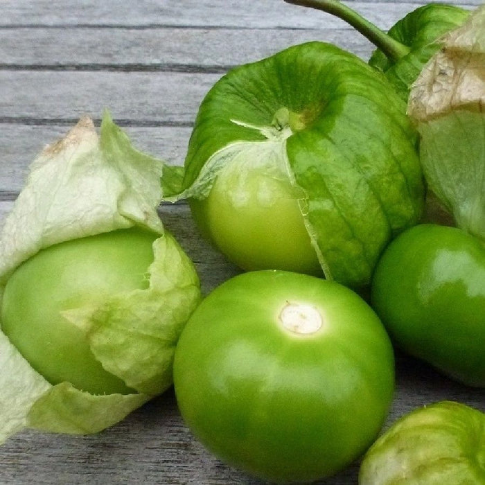 Grande Rio Verde Tomatillo