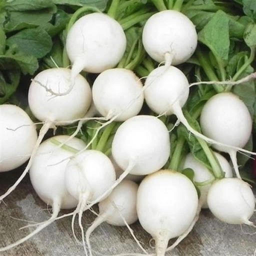 Hailstone Radish