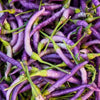 Hot Cayenne Purple Pepper