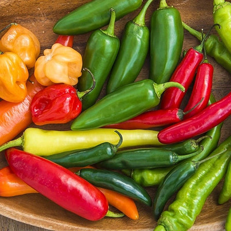 Hot Pepper Collection (13 Varieties)