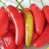 Hungarian Sweet Wax Pepper