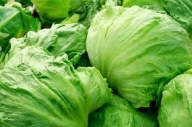 Crisphead-Iceberg Lettuce