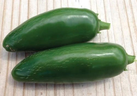 Jalapeno M Hot Pepper