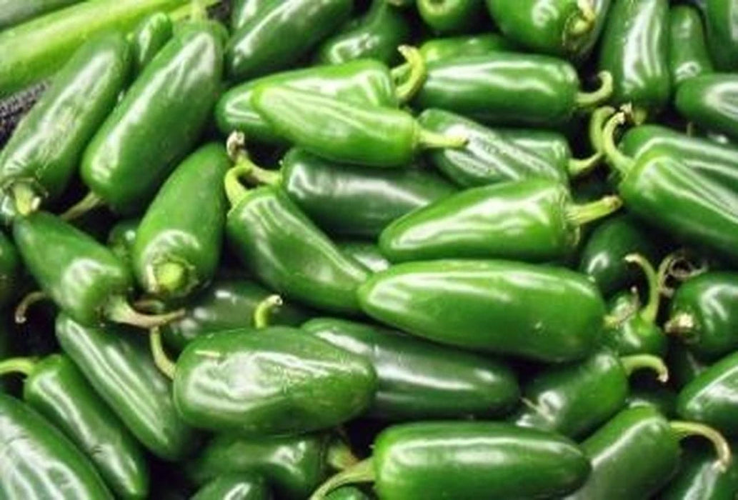 Jalapeno M Hot Pepper