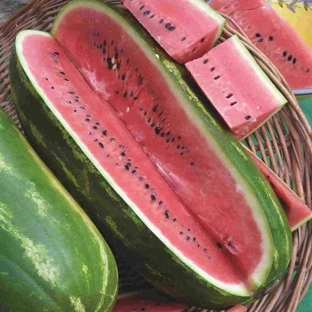 Jubilee Watermelon