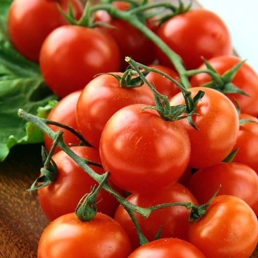 Large Red Cherry Tomato