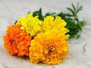 Marigold flower