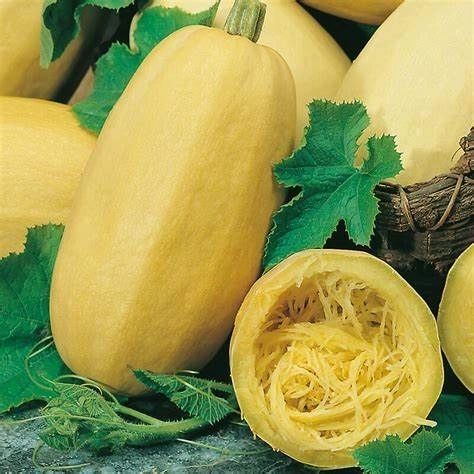 Spaghetti Winter Squash