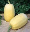 Spaghetti Winter Squash