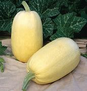 Spaghetti Winter Squash