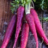 Cosmic purple carrot