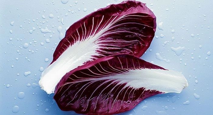 Radicchio (Rouge de Verona)