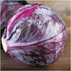 Red Acre Cabbage