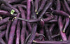 Royal Burgundy Bush Bean