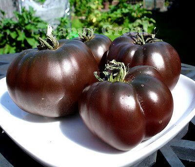 Black Prince Tomato