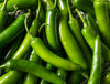 Serrano Hot Pepper