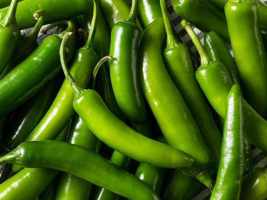 Serrano Hot Pepper