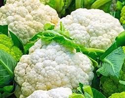 Snowball Y Improved Cauliflower