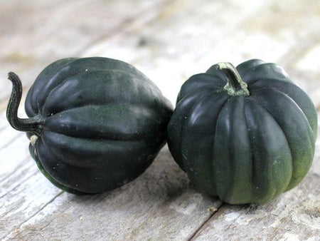 Table Queen Acorn Winter Squash