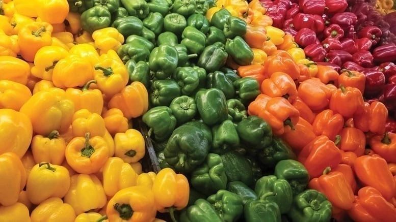 Sweet Pepper Collection (9 Varieties)