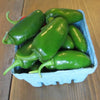 Tam Jalapeno Pepper